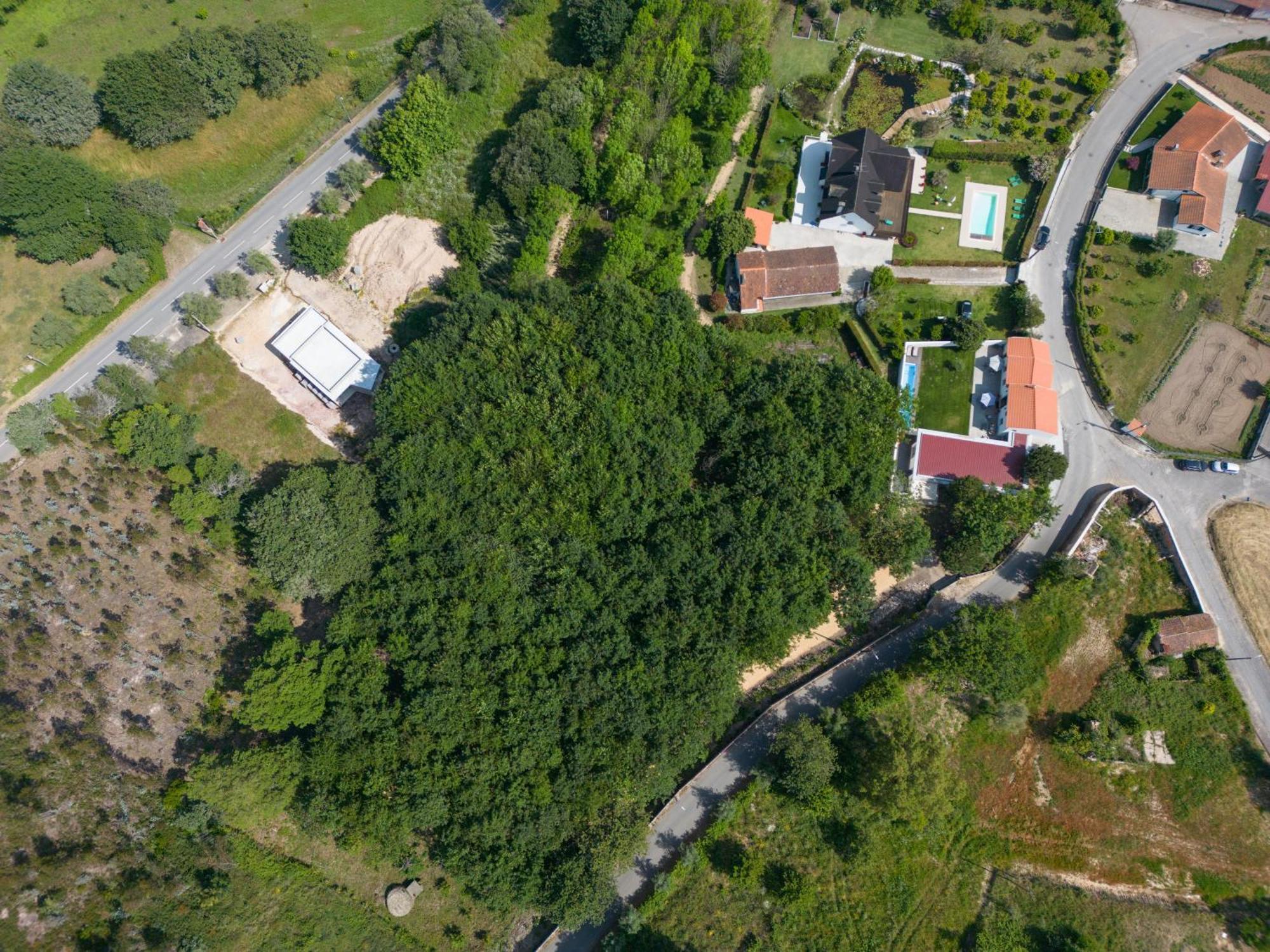 Casa Do Carvalhal - Quinta Do Soldado Villa Alquerubim Exterior photo